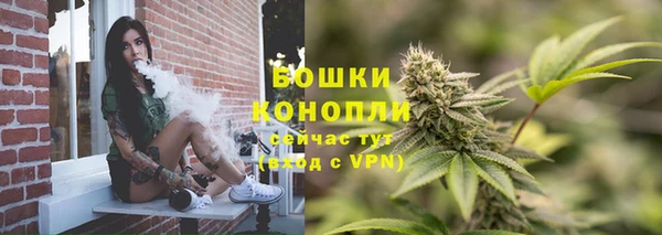 дживик Богородицк