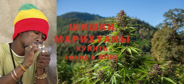 мдпв Верея