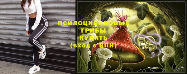 мдпв Верея