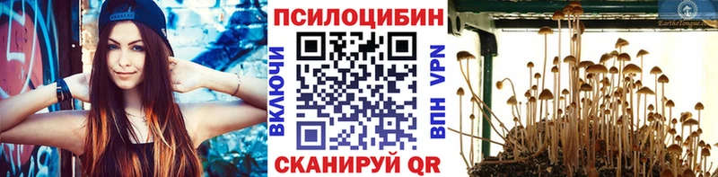Галлюциногенные грибы Psilocybine cubensis  Купить где  Дегтярск 